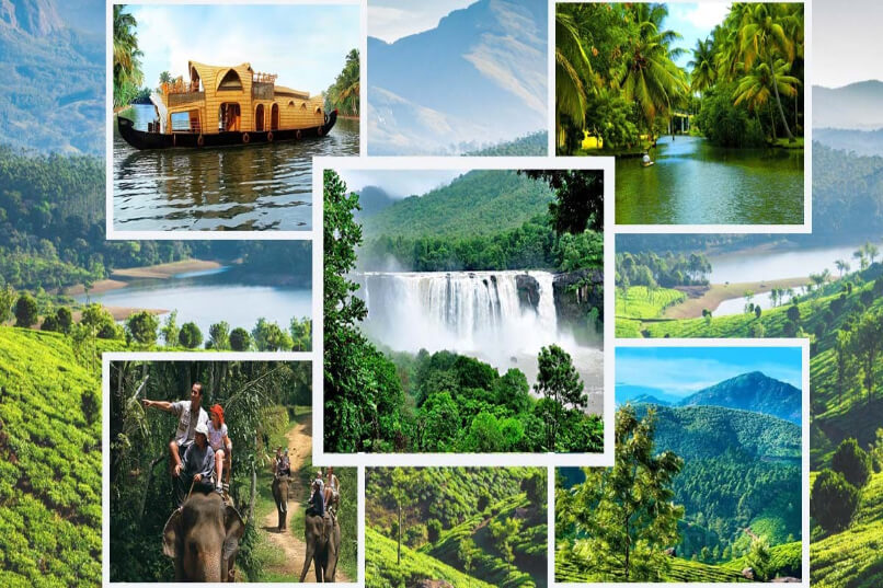 Valparai-Topslip Wildlife Tours